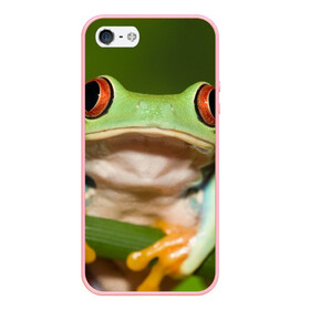 Чехол для iPhone 5/5S матовый с принтом Лягушка в Петрозаводске, Силикон | Область печати: задняя сторона чехла, без боковых панелей | frog | жаба | животные | зеленый | ква | лягуха | лягушка | лягушонок