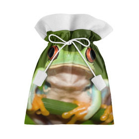 Подарочный 3D мешок с принтом Лягушка в Петрозаводске, 100% полиэстер | Размер: 29*39 см | Тематика изображения на принте: frog | жаба | животные | зеленый | ква | лягуха | лягушка | лягушонок