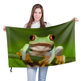 Флаг 3D с принтом Лягушка в Петрозаводске, 100% полиэстер | плотность ткани — 95 г/м2, размер — 67 х 109 см. Принт наносится с одной стороны | Тематика изображения на принте: frog | жаба | животные | зеленый | ква | лягуха | лягушка | лягушонок