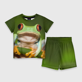 Детский костюм с шортами 3D с принтом Лягушка в Петрозаводске,  |  | Тематика изображения на принте: frog | жаба | животные | зеленый | ква | лягуха | лягушка | лягушонок