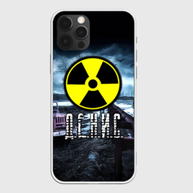 Чехол для iPhone 12 Pro с принтом S.T.A.L.K.E.R. - Д,Е.Н.И.С. в Петрозаводске, силикон | область печати: задняя сторона чехла, без боковых панелей | stalker | волки | грузовик | ден | денис | денчик | знак | имя | мрак | опасность | припять | птицы | радиация | сталкер | чернобыль