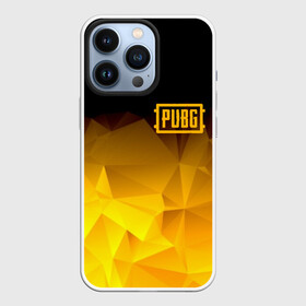 Чехол для iPhone 13 Pro с принтом PUBG ABSTRACT | АБСТРАКЦИЯ в Петрозаводске,  |  | battle royal | playerunknowns battlegrounds | pubg | пабг | пубг