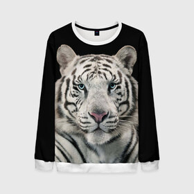Мужской свитшот 3D с принтом White tiger в Петрозаводске, 100% полиэстер с мягким внутренним слоем | круглый вырез горловины, мягкая резинка на манжетах и поясе, свободная посадка по фигуре | tiger white | белый тигр | дикая кошка | тигр