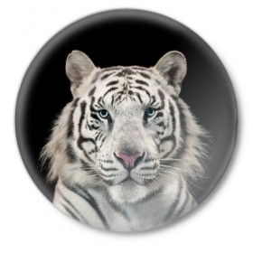 Значок с принтом White tiger в Петрозаводске,  металл | круглая форма, металлическая застежка в виде булавки | Тематика изображения на принте: tiger white | белый тигр | дикая кошка | тигр