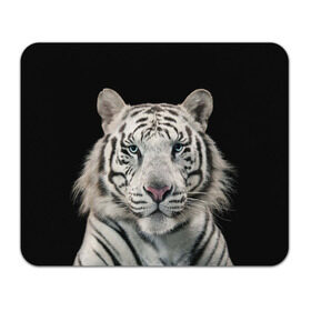 Коврик прямоугольный с принтом White tiger в Петрозаводске, натуральный каучук | размер 230 х 185 мм; запечатка лицевой стороны | Тематика изображения на принте: tiger white | белый тигр | дикая кошка | тигр
