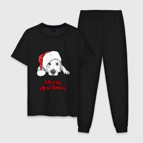 Мужская пижама хлопок с принтом Собака Санта в Петрозаводске, 100% хлопок | брюки и футболка прямого кроя, без карманов, на брюках мягкая резинка на поясе и по низу штанин
 | Тематика изображения на принте: christmas | dog | holiday | new year | santa claus | santa hat | snow | snowflakes | winter | дед мороз | зима | новый год | праздник | рождество | санта клаус | снег | снежинки | собака | шапка