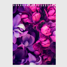 Скетчбук с принтом цветы в Петрозаводске, 100% бумага
 | 48 листов, плотность листов — 100 г/м2, плотность картонной обложки — 250 г/м2. Листы скреплены сверху удобной пружинной спиралью | Тематика изображения на принте: botany | bouquet | flowers | fuchsia | leaves | magnolia | peony | pink | vintage | ботаника | букет | винтаж | листья | магнолия | пион | розовый | фуксия | цветы