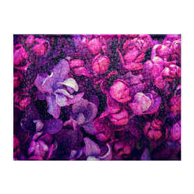 Обложка для студенческого билета с принтом цветы в Петрозаводске, натуральная кожа | Размер: 11*8 см; Печать на всей внешней стороне | Тематика изображения на принте: botany | bouquet | flowers | fuchsia | leaves | magnolia | peony | pink | vintage | ботаника | букет | винтаж | листья | магнолия | пион | розовый | фуксия | цветы