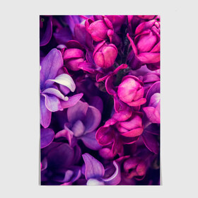 Постер с принтом цветы в Петрозаводске, 100% бумага
 | бумага, плотность 150 мг. Матовая, но за счет высокого коэффициента гладкости имеет небольшой блеск и дает на свету блики, но в отличии от глянцевой бумаги не покрыта лаком | Тематика изображения на принте: botany | bouquet | flowers | fuchsia | leaves | magnolia | peony | pink | vintage | ботаника | букет | винтаж | листья | магнолия | пион | розовый | фуксия | цветы