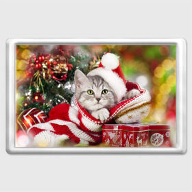 Магнит 45*70 с принтом Новогодний котик в Петрозаводске, Пластик | Размер: 78*52 мм; Размер печати: 70*45 | елка | зима | кот | котейка | кошка | мороз | новый год | снег
