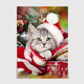 Постер с принтом Новогодний котик в Петрозаводске, 100% бумага
 | бумага, плотность 150 мг. Матовая, но за счет высокого коэффициента гладкости имеет небольшой блеск и дает на свету блики, но в отличии от глянцевой бумаги не покрыта лаком | елка | зима | кот | котейка | кошка | мороз | новый год | снег