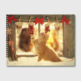 Альбом для рисования с принтом Сюрпризы от Деда Мороза в Петрозаводске, 100% бумага
 | матовая бумага, плотность 200 мг. | елка | зима | кот | котейка | кошка | мороз | новый год | снег | снежинки
