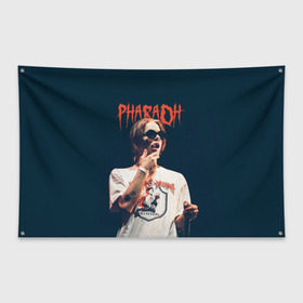Флаг-баннер с принтом Фара в Петрозаводске, 100% полиэстер | размер 67 х 109 см, плотность ткани — 95 г/м2; по краям флага есть четыре люверса для крепления | dead dynasty | pharaoh | pink phloyd | мертвая династия | фараон