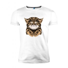 Мужская футболка премиум с принтом Котёнок в Петрозаводске, 92% хлопок, 8% лайкра | приталенный силуэт, круглый вырез ворота, длина до линии бедра, короткий рукав | cat | животные | киса | кот | котенок | котик | кошка | сон | спит