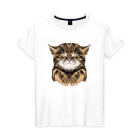 Женская футболка хлопок с принтом Котёнок в Петрозаводске, 100% хлопок | прямой крой, круглый вырез горловины, длина до линии бедер, слегка спущенное плечо | cat | животные | киса | кот | котенок | котик | кошка | сон | спит