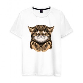 Мужская футболка хлопок с принтом Котёнок в Петрозаводске, 100% хлопок | прямой крой, круглый вырез горловины, длина до линии бедер, слегка спущенное плечо. | cat | животные | киса | кот | котенок | котик | кошка | сон | спит