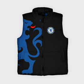 Женский жилет утепленный 3D с принтом Chelsea Uniform в Петрозаводске,  |  | chelsea | emirates | fc | абстракция | геометрия | зож | клуб | линии | мода | модные | мяч | спорт | спортивные | стиль | тренды | флаг россии | футбол | футбольный клуб | челси | экстрим | эмблема