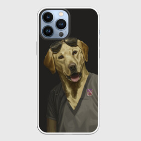 Чехол для iPhone 13 Pro Max с принтом Mr Peanutbutter в Петрозаводске,  |  | bojack horseman | mr peanutbutter | конь боджек | лошадь боджек | мистер подхвост