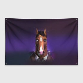 Флаг-баннер с принтом BoJack в Петрозаводске, 100% полиэстер | размер 67 х 109 см, плотность ткани — 95 г/м2; по краям флага есть четыре люверса для крепления | bojack horseman | конь боджек | лошадь боджек