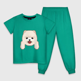 Детская пижама хлопок с принтом Немецкий шпиц щеночек в Петрозаводске, 100% хлопок |  брюки и футболка прямого кроя, без карманов, на брюках мягкая резинка на поясе и по низу штанин
 | 