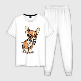Мужская пижама хлопок с принтом Чихуахуа с бабочкой в Петрозаводске, 100% хлопок | брюки и футболка прямого кроя, без карманов, на брюках мягкая резинка на поясе и по низу штанин
 | домашние животные | пес | песик | собака | собачка | чихуахуа