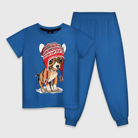 Детская пижама хлопок с принтом Чихуахуа в шапочке в Петрозаводске, 100% хлопок |  брюки и футболка прямого кроя, без карманов, на брюках мягкая резинка на поясе и по низу штанин
 | Тематика изображения на принте: домашние животные | пес | песик | собака | собачка | чихуахуа