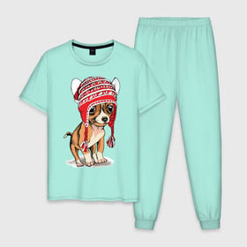Мужская пижама хлопок с принтом Чихуахуа в шапочке в Петрозаводске, 100% хлопок | брюки и футболка прямого кроя, без карманов, на брюках мягкая резинка на поясе и по низу штанин
 | домашние животные | пес | песик | собака | собачка | чихуахуа