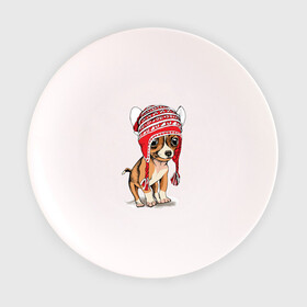 Тарелка с принтом Чихуахуа в шапочке в Петрозаводске, фарфор | диаметр - 210 мм
диаметр для нанесения принта - 120 мм | домашние животные | пес | песик | собака | собачка | чихуахуа