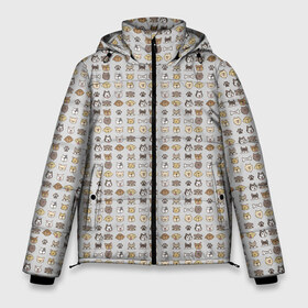 Мужская зимняя куртка 3D с принтом Веселые Чихуахуа в Петрозаводске, верх — 100% полиэстер; подкладка — 100% полиэстер; утеплитель — 100% полиэстер | длина ниже бедра, свободный силуэт Оверсайз. Есть воротник-стойка, отстегивающийся капюшон и ветрозащитная планка. 

Боковые карманы с листочкой на кнопках и внутренний карман на молнии. | домашние животные | пес | собака