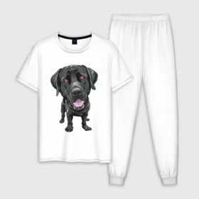 Мужская пижама хлопок с принтом Черный лабрадор в Петрозаводске, 100% хлопок | брюки и футболка прямого кроя, без карманов, на брюках мягкая резинка на поясе и по низу штанин
 | домашние животные | лабрадоры | пес | песик | ретриверы | собака | собачка
