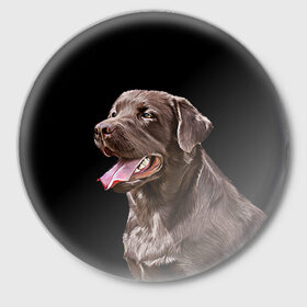 Значок с принтом Лабрадор_арт_2 в Петрозаводске,  металл | круглая форма, металлическая застежка в виде булавки | домашние животные | лабрадор | пес | песик | ретривер | собака | собачка