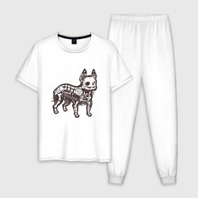 Мужская пижама хлопок с принтом Бульдог ренген в Петрозаводске, 100% хлопок | брюки и футболка прямого кроя, без карманов, на брюках мягкая резинка на поясе и по низу штанин
 | бульдог | домашние животные | пес | песик | собака | собачка | французский бульдог