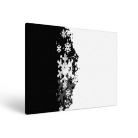 Холст прямоугольный с принтом Снежные узоры в Петрозаводске, 100% ПВХ |  | black | christmas | new year | pattern | white | абстракция | зима | новый год | рождество | снег | снежинки | узор | черно белые