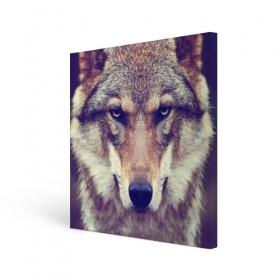 Холст квадратный с принтом Wolf в Петрозаводске, 100% ПВХ |  | animal | волк | хищник