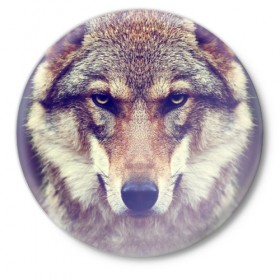 Значок с принтом Wolf в Петрозаводске,  металл | круглая форма, металлическая застежка в виде булавки | Тематика изображения на принте: animal | волк | хищник
