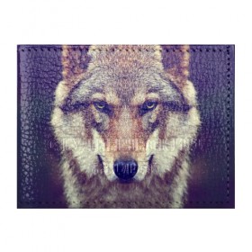 Обложка на студенческий билет с принтом Wolf в Петрозаводске, натуральная кожа | Размер: 11*8 см; Печать на всей внешней стороне | animal | волк | хищник