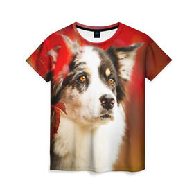Женская футболка 3D с принтом Бордер колли в красных листьях в Петрозаводске, 100% полиэфир ( синтетическое хлопкоподобное полотно) | прямой крой, круглый вырез горловины, длина до линии бедер | Тематика изображения на принте: border collie | dog | бордер колли | красный | листья | осень | собака