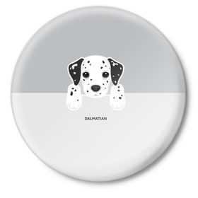 Значок с принтом Dalmatian Puppy в Петрозаводске,  металл | круглая форма, металлическая застежка в виде булавки | далматин | далматинец | домашние животные | пес | песик | собака | собачка | терьер | шпиц