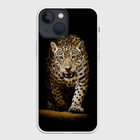 Чехол для iPhone 13 mini с принтом Leopard в Петрозаводске,  |  | дикая кошка | зверь | клыки | кот | леопард | оскал | пантера | природа | хищник | ягуар