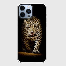 Чехол для iPhone 13 Pro Max с принтом Leopard в Петрозаводске,  |  | дикая кошка | зверь | клыки | кот | леопард | оскал | пантера | природа | хищник | ягуар