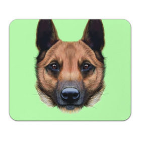 Коврик прямоугольный с принтом Немецкая овчарка в Петрозаводске, натуральный каучук | размер 230 х 185 мм; запечатка лицевой стороны | dog | овчарка | пес | песик | собака | собачка