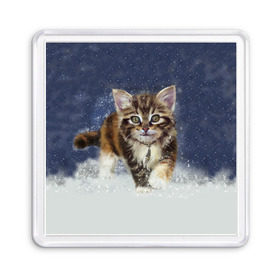 Магнит 55*55 с принтом Зимний котик в Петрозаводске, Пластик | Размер: 65*65 мм; Размер печати: 55*55 мм | зима | кот | котенок | кошка | новый год | снег | снежинка | снежок