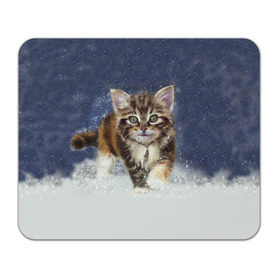 Коврик прямоугольный с принтом Зимний котик в Петрозаводске, натуральный каучук | размер 230 х 185 мм; запечатка лицевой стороны | зима | кот | котенок | кошка | новый год | снег | снежинка | снежок