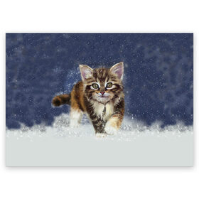 Поздравительная открытка с принтом Зимний котик в Петрозаводске, 100% бумага | плотность бумаги 280 г/м2, матовая, на обратной стороне линовка и место для марки
 | зима | кот | котенок | кошка | новый год | снег | снежинка | снежок