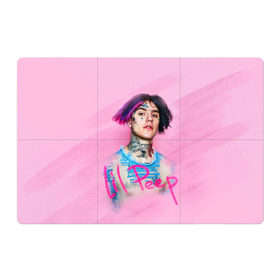 Магнитный плакат 3Х2 с принтом Lil Pink в Петрозаводске, Полимерный материал с магнитным слоем | 6 деталей размером 9*9 см | Тематика изображения на принте: lil peep | rap | густав ор | лил пип | рэп