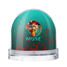 Водяной шар с принтом Muse в Петрозаводске, Пластик | Изображение внутри шара печатается на глянцевой фотобумаге с двух сторон | 