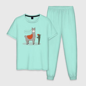 Мужская пижама хлопок с принтом alpaca-llama в Петрозаводске, 100% хлопок | брюки и футболка прямого кроя, без карманов, на брюках мягкая резинка на поясе и по низу штанин
 | alpaca | llama | альпака | кактус | лама