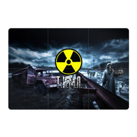 Магнитный плакат 3Х2 с принтом S.T.A.L.K.E.R. - Т.И.М.А. в Петрозаводске, Полимерный материал с магнитным слоем | 6 деталей размером 9*9 см | радиация | сталкер | тима | тимофей | тимур
