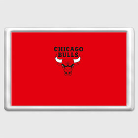 Магнит 45*70 с принтом Chicago Bulls в Петрозаводске, Пластик | Размер: 78*52 мм; Размер печати: 70*45 | bulls | chicago | chicago bulls | nba | баскетбол | буллз | нба | чикаго буллз