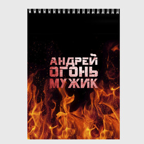 Скетчбук с принтом Андрей огонь мужик в Петрозаводске, 100% бумага
 | 48 листов, плотность листов — 100 г/м2, плотность картонной обложки — 250 г/м2. Листы скреплены сверху удобной пружинной спиралью | андрей | андрюха | андрюша | огонь | пламя